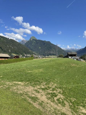 Le repère du Nant- meublé classé 2 étoiles Morzine